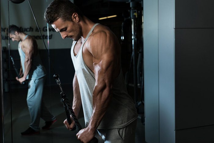 Boost Your Vascularity with these Useful Tips – Nitrocut