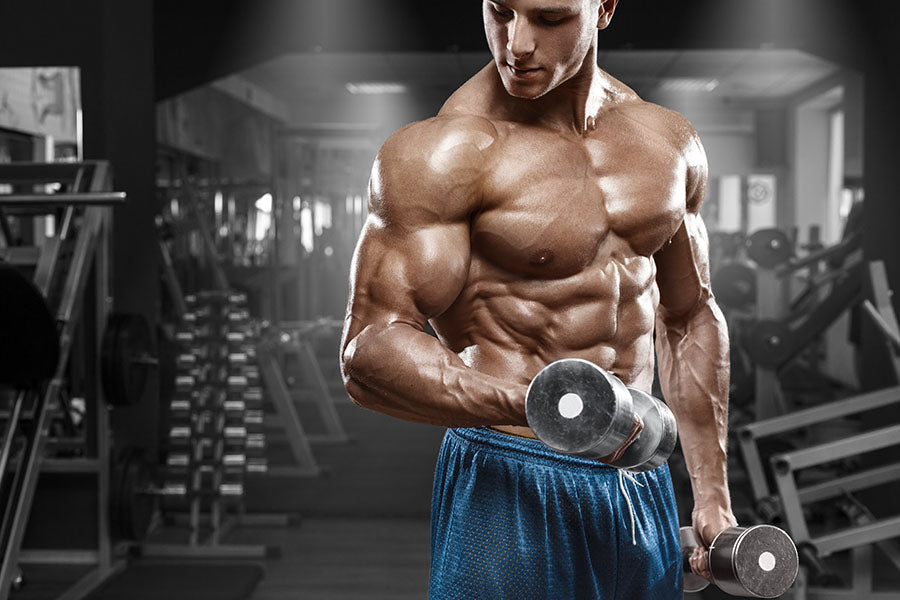 Arm Workouts: The Best Ways To Get Ripped Biceps – Nitrocut