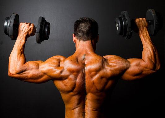 Good Back Workouts You Should Add to Your Workout Routine – Nitrocut