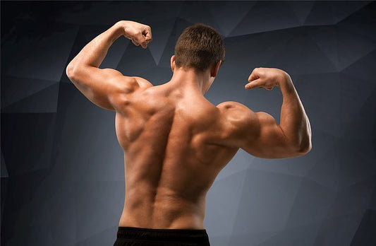 Easiest Upper Body Workouts For Men